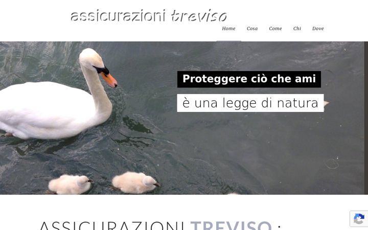 Screenshot di assicurazionitreviso.net