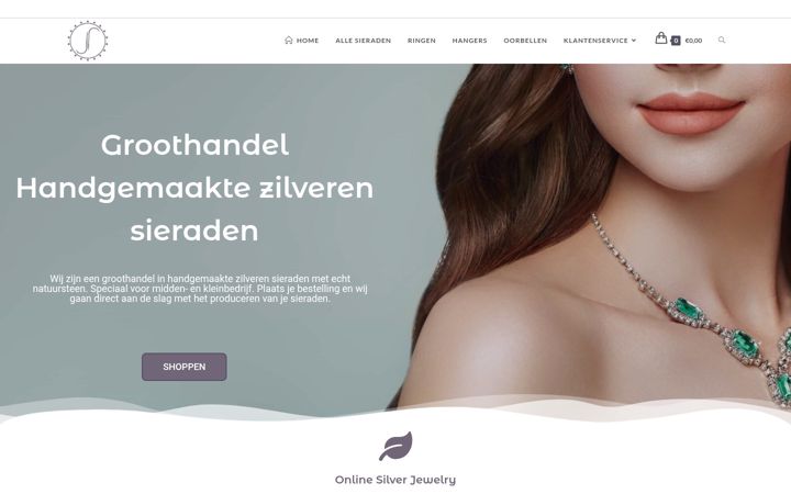 Screenshot of assierradenshop.nl