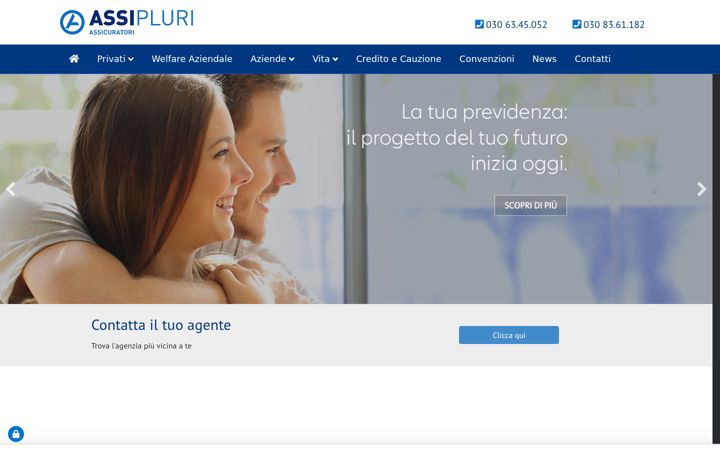 Screenshot of assipluri.it