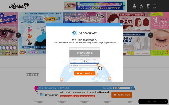 Screenshot of assist-wig.com