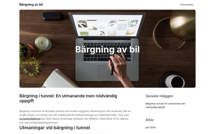 Screenshot of assistansbargning.se