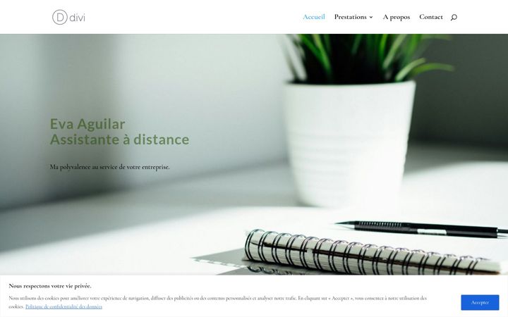 Zrzut ekranu assistante-a-distance.com