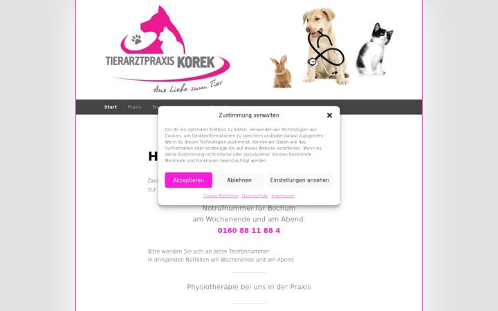 Képernyőkép: assmus-korek.de