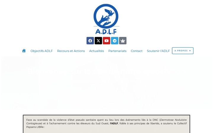 Ekrano kopija asso-adlf.fr