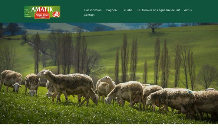 Screenshot of asso-amatik.com