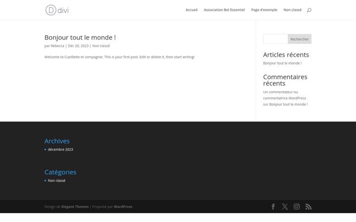 Screenshot of assobelessentiel.fr