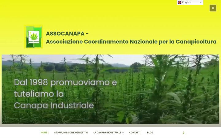 Screenshot of assocanapa.org