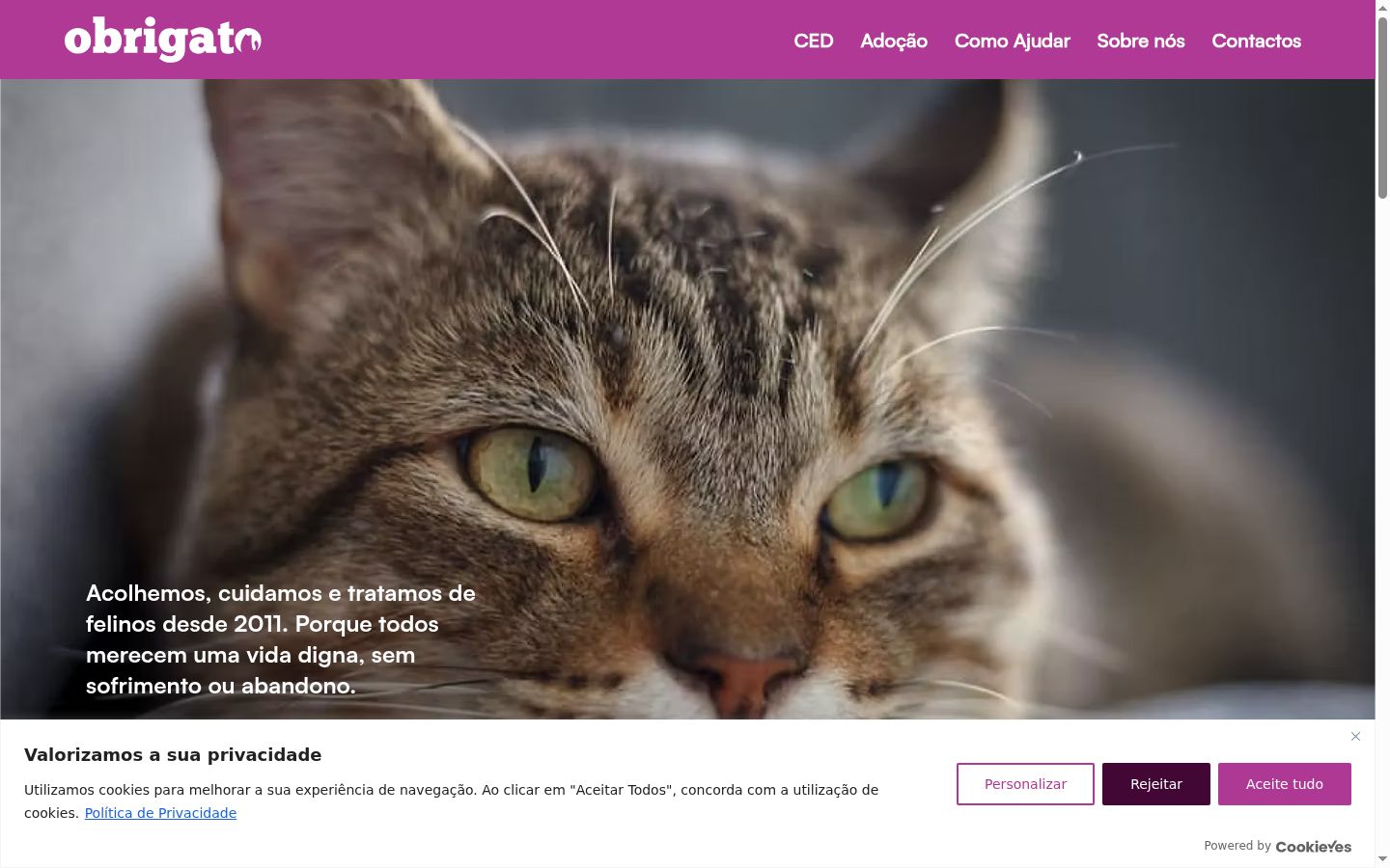 Screenshot of the consent banner shown before any interaction