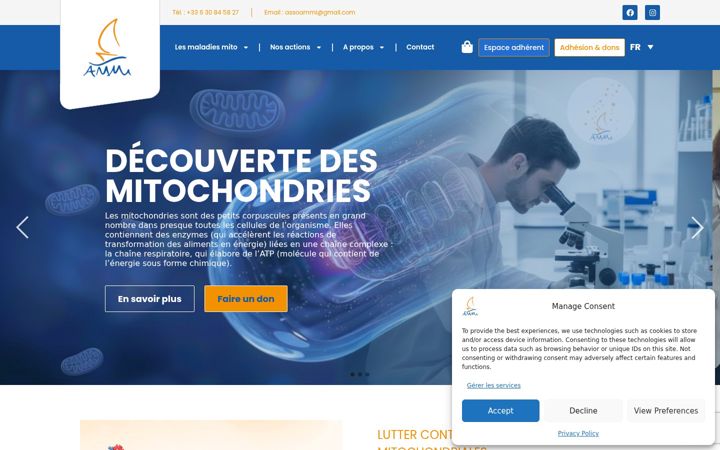Screenshot of association-ammi.org