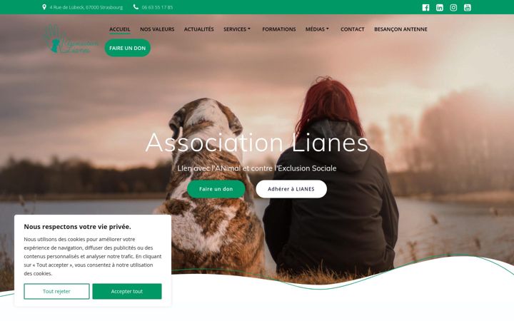 Screenshot ta' association-lianes.fr
