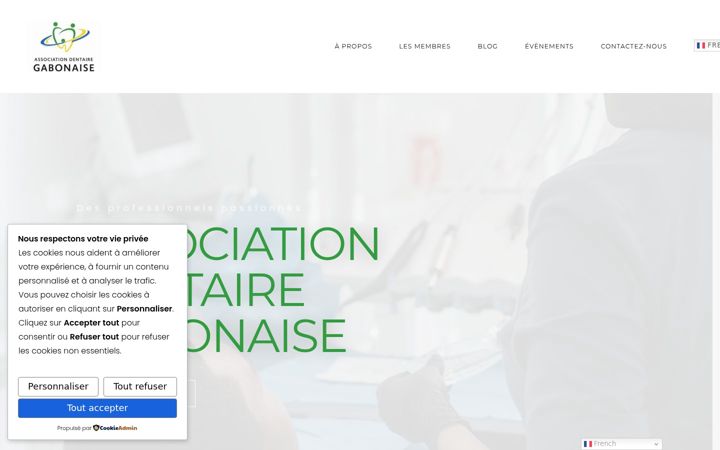 Screenshot of associationdentairegabonaise.com