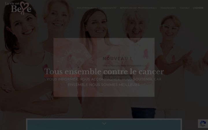 Screenshot of associationlavieestbelle.fr