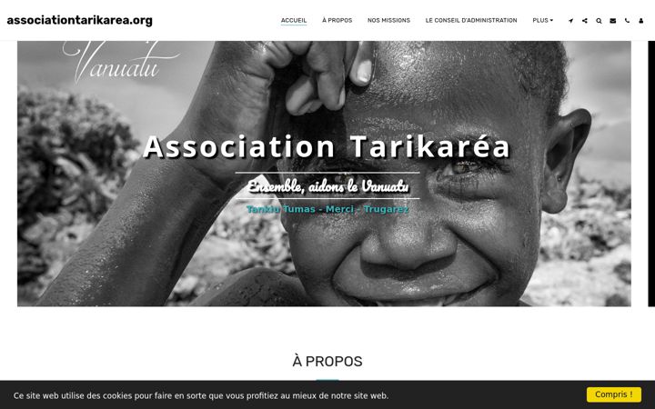 Screenshot of associationtarikarea.org