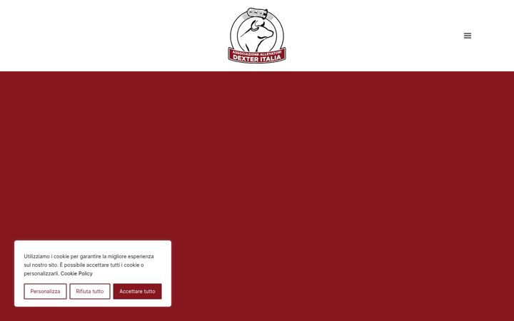 Screenshot of associazioneadi.it