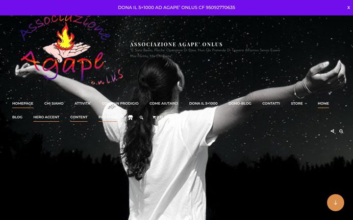 Zrzut ekranu associazioneagapeonlus.com