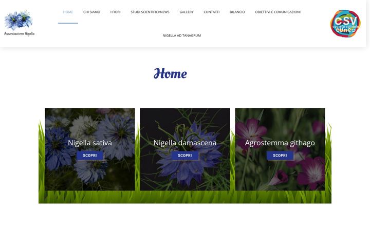 Screenshot ta' associazionenigella.it