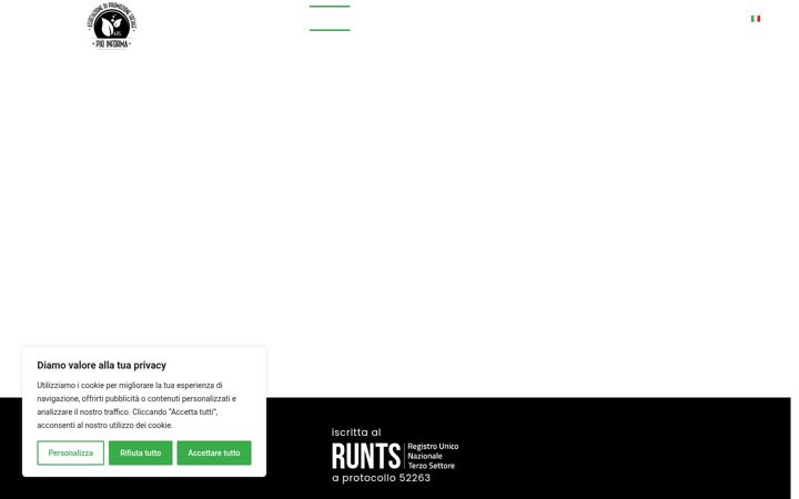 Screenshot of associazionepiuinforma.org