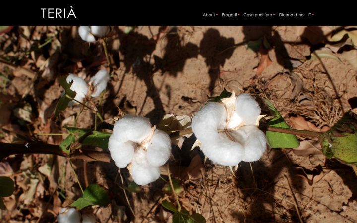 Screenshot of associazioneteria.it