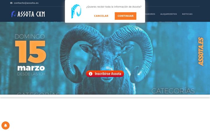 Screenshot von assota.es