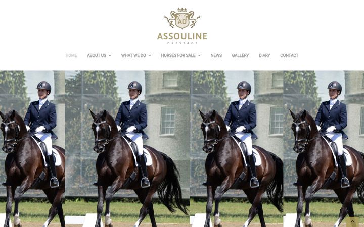 Screenshot of assoulinedressage.com