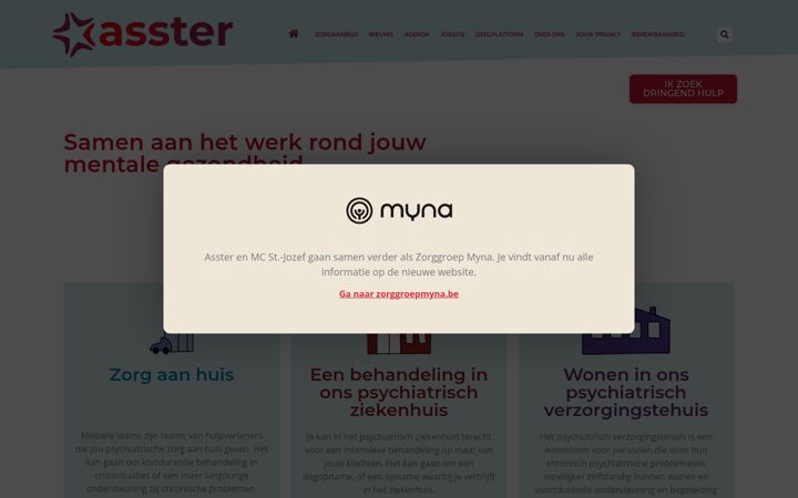 Screenshot of asster.be