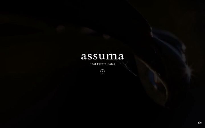 Kuvakaappaus sivustosta assuma.net