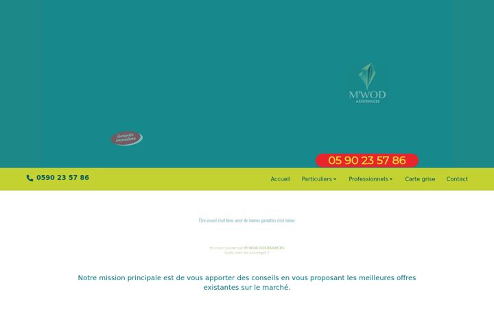 Skærmbillede af assurance-mwod.com