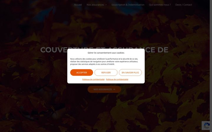 Captura de pantalla de assuranceforet.com