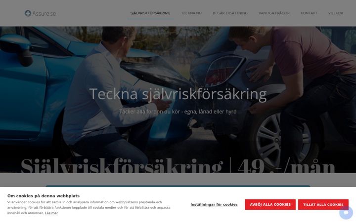 Ekrano kopija assure.se