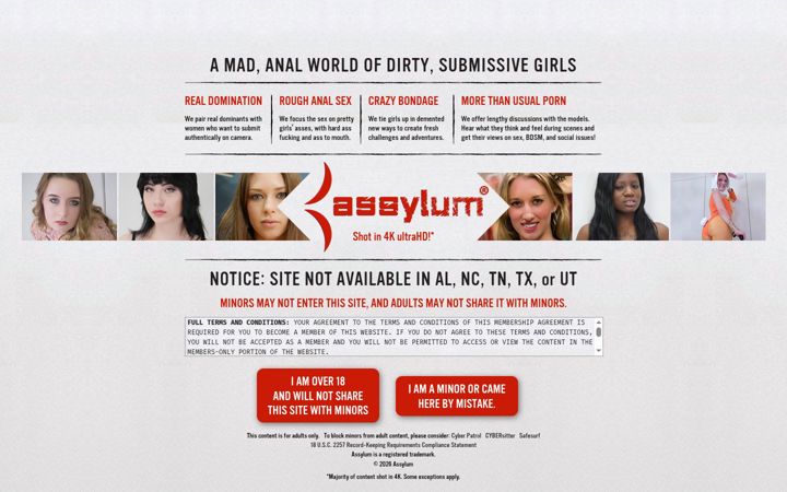 Screenshot of assylum.com
