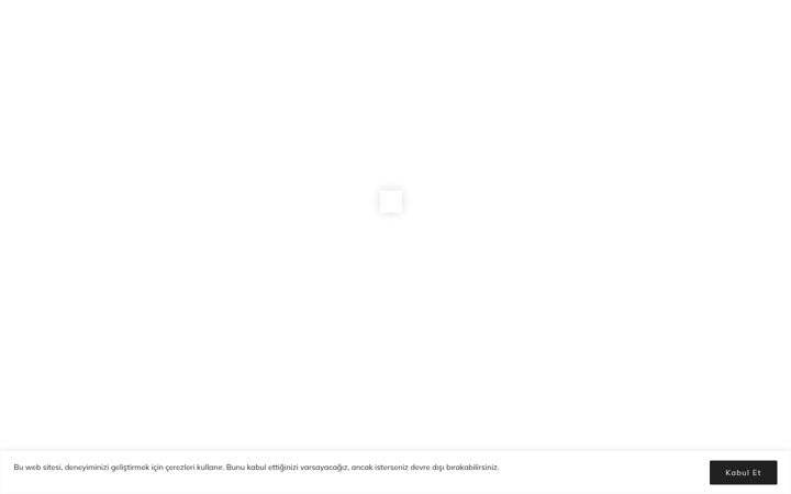 Screenshot of astel.com.tr