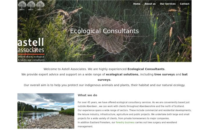 Screenshot of astellassociates.co.uk
