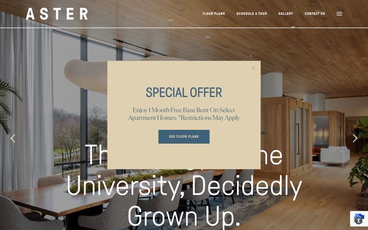 Screenshot di astercollegepark.com