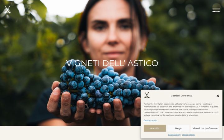 Screenshot of asticovigneti.it