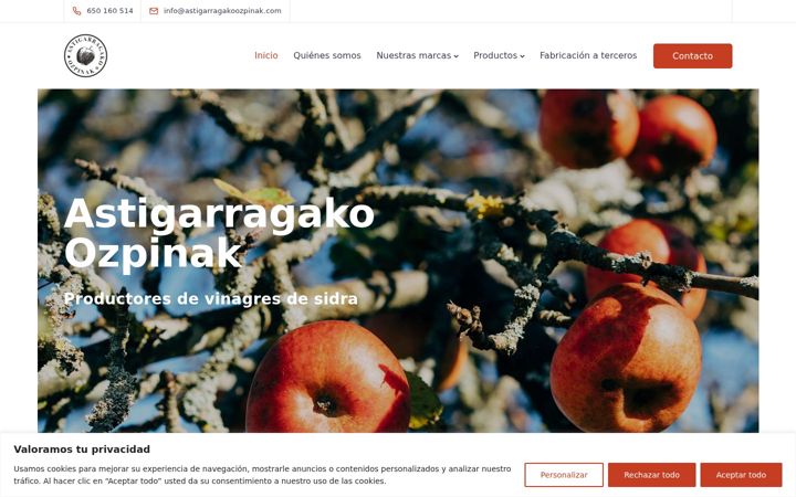 Screenshot του astigarragakoozpinak.com