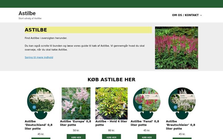 Screenshot of astilbe.dk