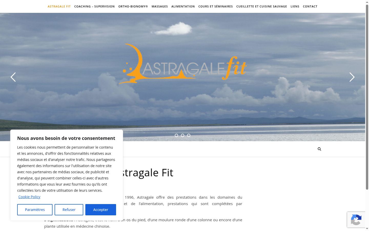 Screenshot of the consent banner shown before any interaction
