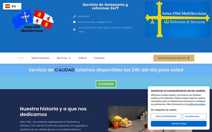 Screenshot of astur-olidreformasyservicios.com