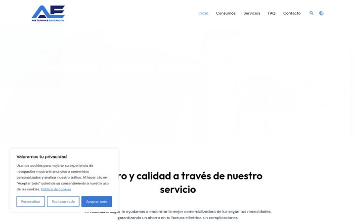 Skärmbild av asturiasenergia.com