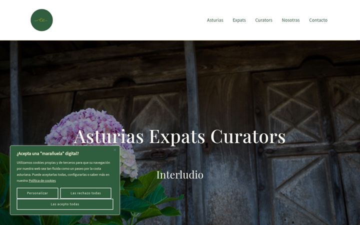 Screenshot of asturiasexpatscurators.com