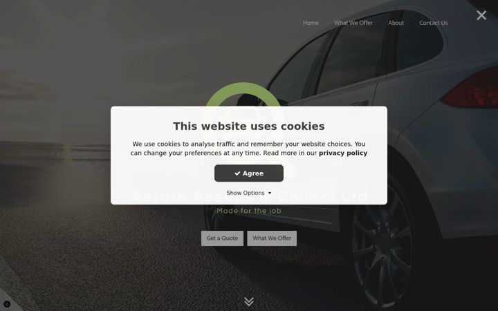 Screenshot of astuteassessandcollect.co.uk