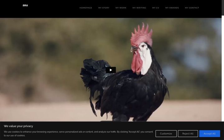 Screenshot of asunderhill.com