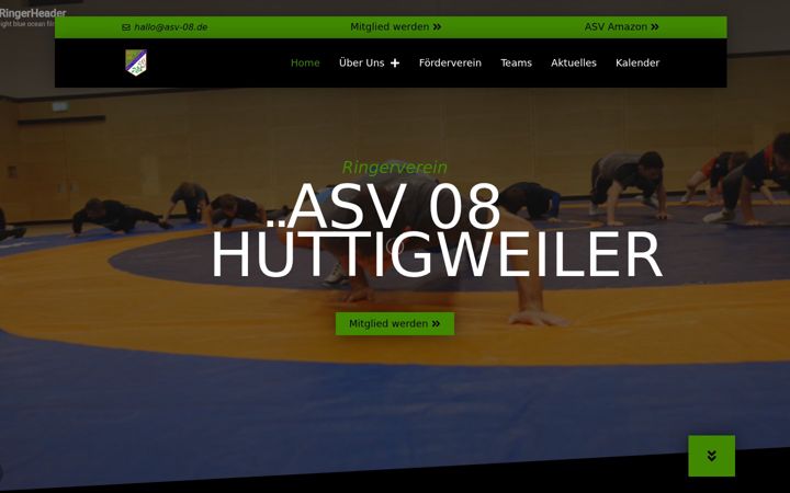 Skærmbillede af asv-08.de