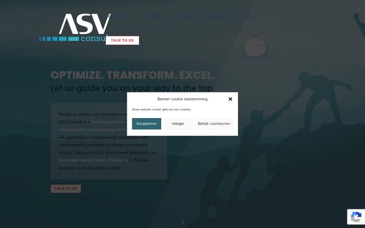 Screenshot of asv-consult.com