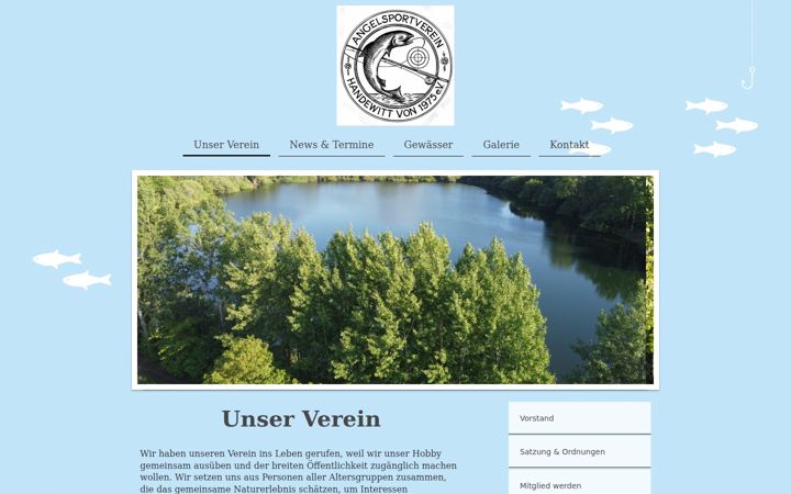 Screenshot of asv-handewitt.com