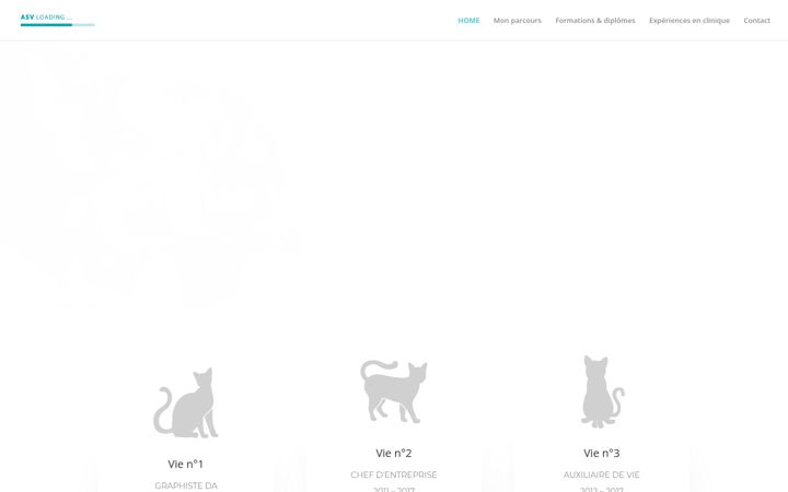 Screenshot of asv-loading.fr