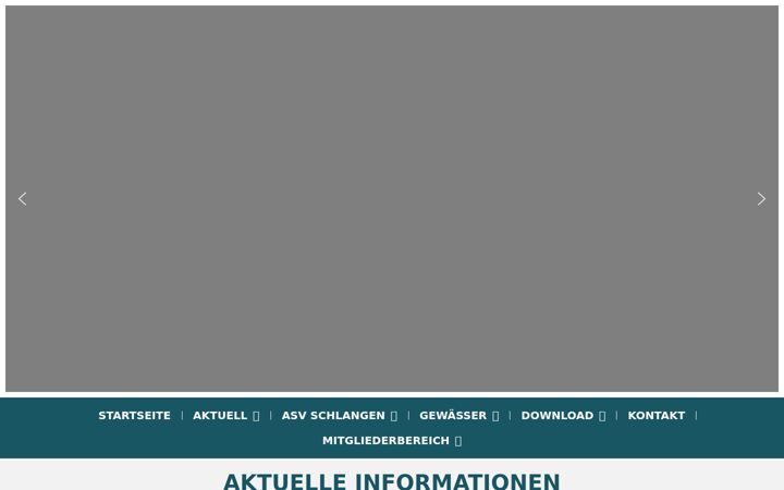 Snímek obrazovky asv-schlangen.com