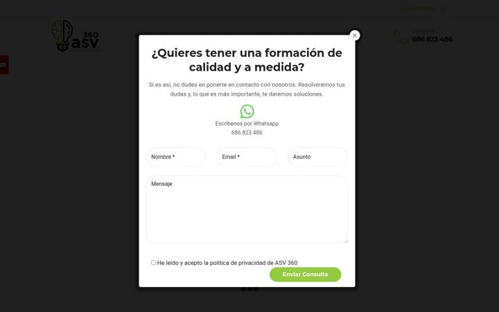 Snímek obrazovky asv360.com