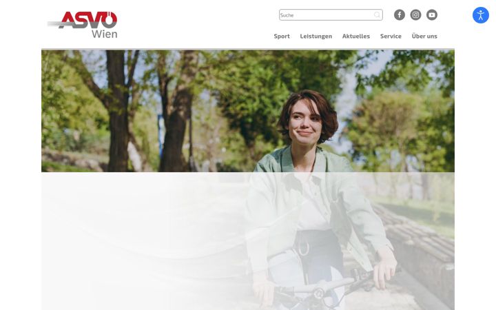 Screenshot of asvoewien.at