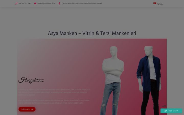 Screenshot of asyamanken.com.tr